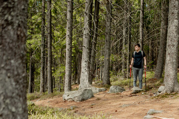 Obraz premium A man is a tourist in a pine forest with a backpack. A hiking trip through the forest. Pine reserve for tourist walks. A young man in a hike in the summer.