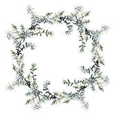 Herbal wreath of green rosemary twigs isolated on white. Watercolour illustration. For invitations, cards, menu, cookbook and packaging design.