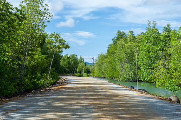 Fototapeta na wymiar Dirt road in mangrove forest and beautiful sky to go to the sea in Phang Nga,Thailand