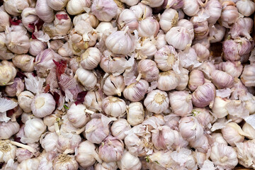 garlic at the supermarket kiosk. Fresh garlic on display in the grocery store.