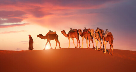 Camel caravan of people going through the sand dunes at sunset over the dunes Erg Chebbi in the...
