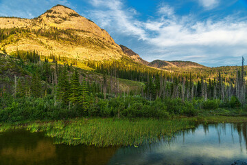 nature scenery inside Jasper National Park, Alberta, Canada