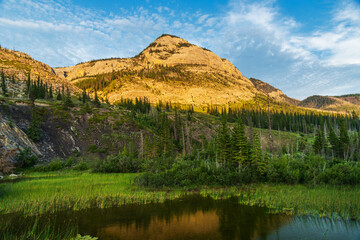 nature scenery inside Jasper National Park, Alberta, Canada