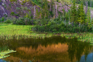 nature scenery inside Jasper National Park, Alberta, Canada