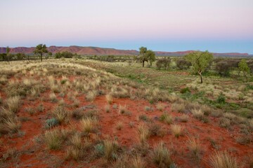 Desert dune near kings canyon in Australia at sunset