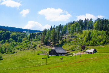 alpine, architecture, baden-wurttemberg, beautiful, black forest, calender, countryside, destination, europe, farmers, farmhouse, field, forest, german, germany, grass, green, hiking, historical, hous