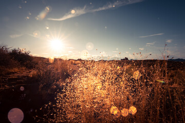 Valley of Fire Sonnenuntergang © Sandwurm79