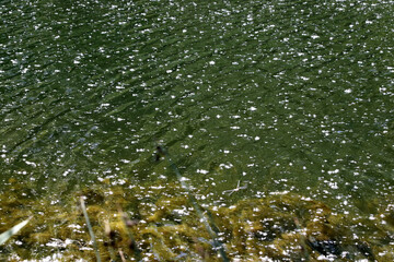 rain drops on the window