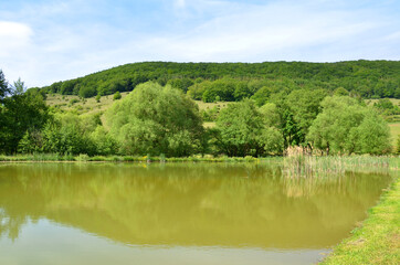 Fototapeta na wymiar Teich in der thüringer Rhön