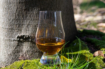 Tasting of scotch single malt whisky from Islay island, most intensely flavoured of all whiskies in Scotland