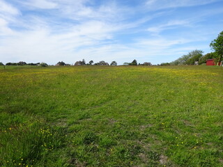 Morsum Kliff im Juni 2020