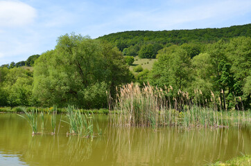Teich in der thüringer Rhön