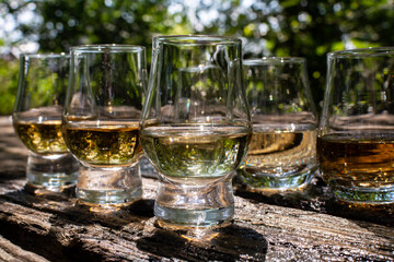 Tasting of different Scotch whiskies on outdoor terrace, dram of whiskey