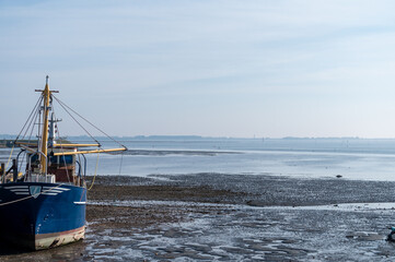 Coastline in zeeuwse village Yerseke with famous oysters wells during low tide, Zeeland, Netherlands