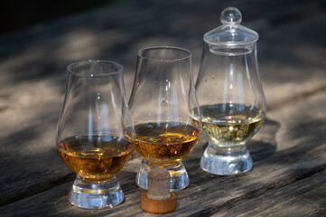Tasting of scotch single malt whisky from Islay island, most intensely flavoured of all whiskies in Scotland
