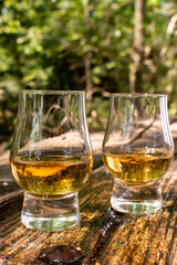 Tasting of different Scotch whiskies on outdoor terrace, dram of whiskey