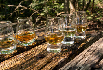Tasting of different Scotch whiskies on outdoor terrace, dram of whiskey