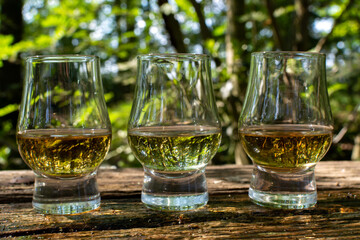 Tasting of different Scotch whiskies on outdoor terrace, dram of whiskey