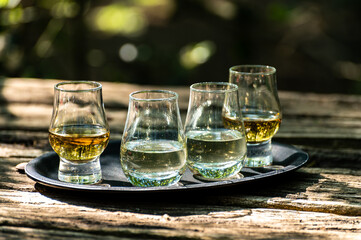 Tasting of different Scotch whiskies on outdoor terrace, dram of whiskey