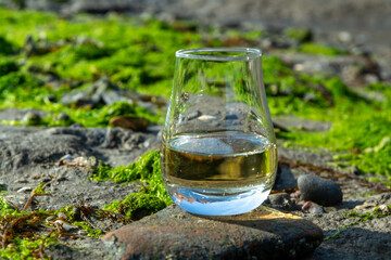 Tasting glass of Scotch whisky and sea shore during low tide, smoky whisky pairing with oysters
