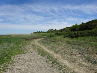 Morsum Kliff im Juni 2020