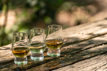 Tasting of different Scotch whiskies on outdoor terrace, dram of whiskey