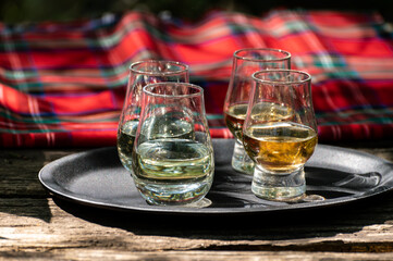Tasting of different Scotch whiskies on outdoor terrace, dram of whiskey and red tartan