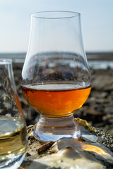 Tasting glass of Scotch whisky and sea shore during low tide, smoky whisky pairing with oysters