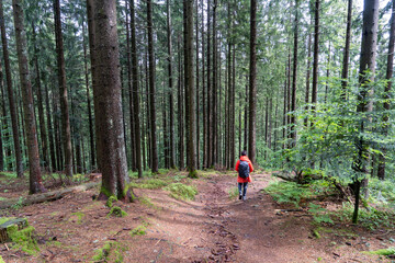 Im Schwarzwald am Kniebis  bei Freudenstadt
