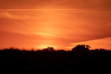 Fototapeta na wymiar Bright orange sky at sunset in early summer