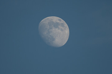 Waxing moon in the evening sky with craters clearly visible
