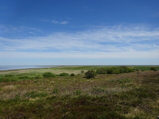 Morsum Kliff im Juni 2020