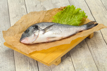Raw Dorada fish  for cooking