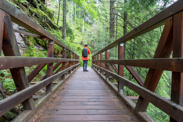 Im Schwarzwald am Kniebis  bei Freudenstadt