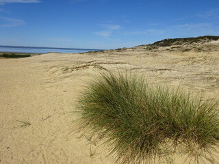 Morsum Kliff im Juni 2020