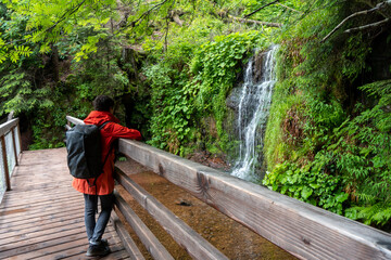 Im Schwarzwald am Kniebis  bei Freudenstadt