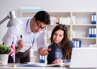 Fototapeta premium Teacher explaining to student at language training