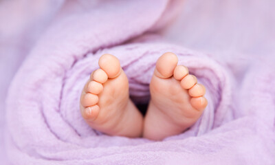 Newborn baby feet wrapped on soft lilac background, closeup of infant barefeet in a selective focus