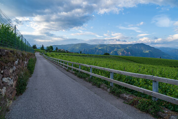 A view of the beautiful Appiano in Italian South Tyrol