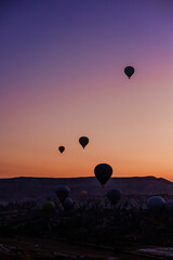 Many hot air balloons fly in sky at dawn