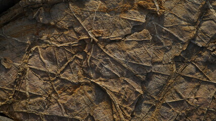 Erosion creates amazing textures and patterns