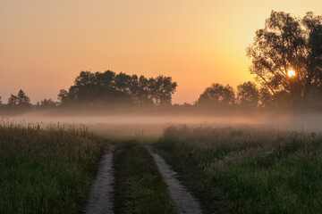 sunrise over the field