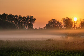 Fototapeta premium misty morning sunrise