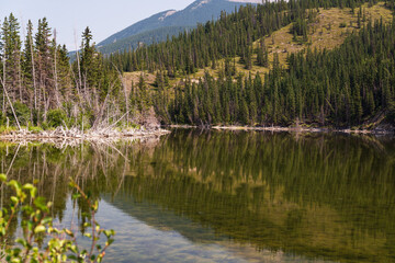 nature scenarios inside Jasper National Park, Alberta, Canada