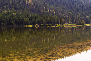 nature scenarios inside Jasper National Park, Alberta, Canada