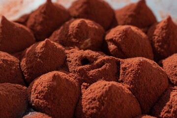 Fototapeta na wymiar Macro on Chocolate balls covered with cacao on top of traditional italian tiramisu 