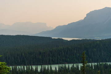 nature scenarios inside Jasper National Park, Alberta, Canada