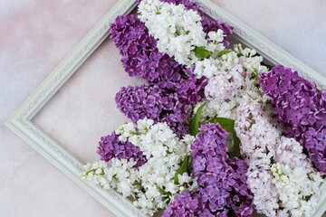 in a decorative white frame a bouquet of lilacs