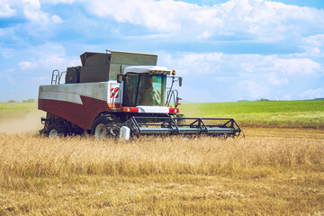 late summer early autumn harvesting of agricultural crops using a modern combine harvester