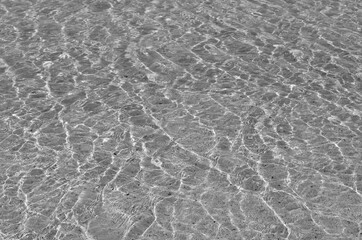 sparkling beach surface black and white